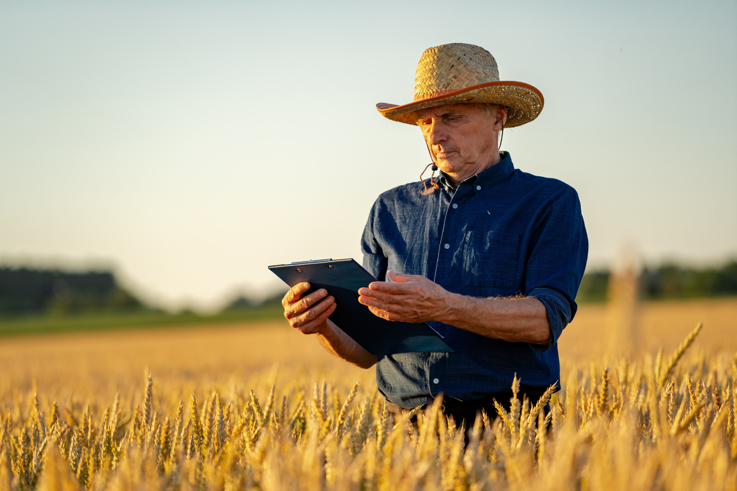 SME Loan for Agricultural Raw Material Procurement